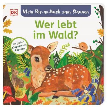 portada Mein Pop-Up-Buch zum Staunen. Wer Lebt im Wald? (in German)