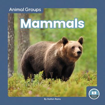 portada Mammals (Animal Groups: Little Blue Readers Level 1) (in English)
