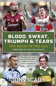 portada Blood, Sweat, Triumph & Tears: The Magic of the gaa (in English)