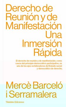 portada Derecho de Reunión y de Manifestación: Una Inmersión Rápida (in Spanish)