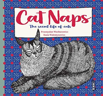 portada Cat Naps (in English)