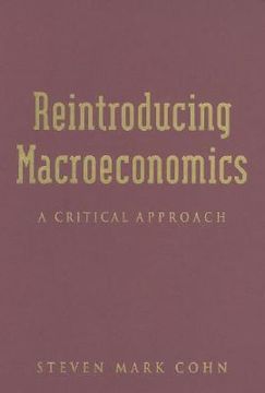portada reintroducing macroeconomics: a critical approach (en Inglés)