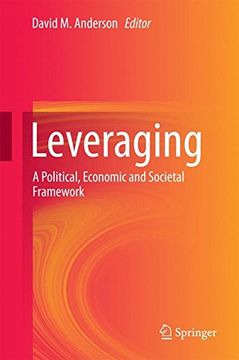 portada Leveraging: A Political, Economic and Societal Framework (in English)