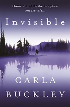 portada Invisible (in English)