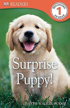 portada Dk Readers l1: Surprise Puppy (dk Readers: Level 1) 
