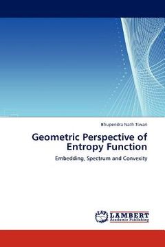 portada geometric perspective of entropy function (en Inglés)
