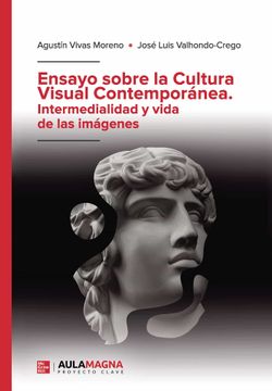 portada Ensayo Sobre la Cultura Visual Contemporanea. Intermedialidad y Vida de las Imagenes (in Spanish)