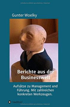 portada Berichte aus der Businesswelt: Aufsätze zu Management und Führung. Mit Zahlreichen Konkreten Werkzeugen. (in German)