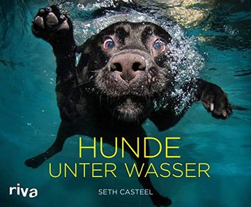 portada Hunde Unter Wasser (en Alemán)