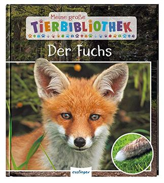 portada Meine Große Tierbibliothek: Der Fuchs (en Alemán)