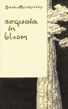 portada Sequoia in Bloom