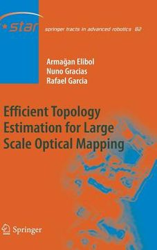 portada efficient topology estimation for large scale optical mapping (en Inglés)