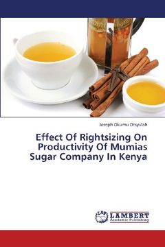portada Effect of Rightsizing on Productivity of Mumias Sugar Company in Kenya