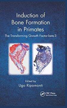 portada Induction of Bone Formation in Primates: The Transforming Growth Factor-Beta 3 (en Inglés)