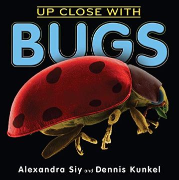 portada Up Close With Bugs (in English)