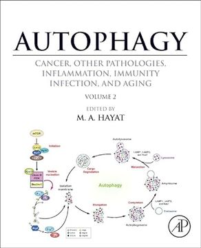 portada Autophagy: Cancer, Other Pathologies, Inflammation, Immunity, Infection, and Aging: Volume 2 - Role in General Diseases(Academic pr Inc) (en Inglés)