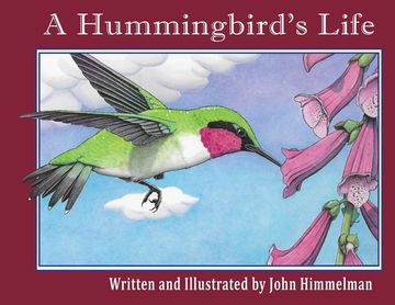portada A Hummingbird's Life (en Inglés)