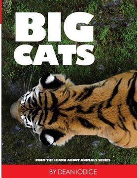 portada Big Cats (en Inglés)