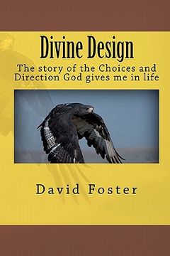 portada Divine Design (en Inglés)