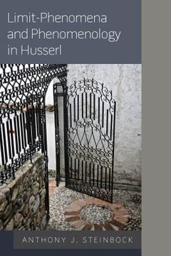 portada Limit-Phenomena and Phenomenology in Husserl (en Inglés)