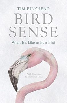 portada bird sense: what it's like to be a bird. tim birkhead (en Inglés)