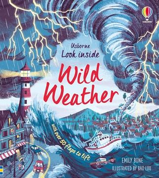 portada Look Inside Wild Weather (en Inglés)