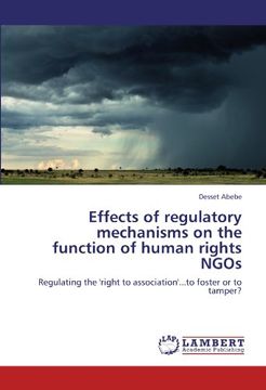 portada Effects of Regulatory Mechanisms on the Function of Human Rights Ngos (en Inglés)