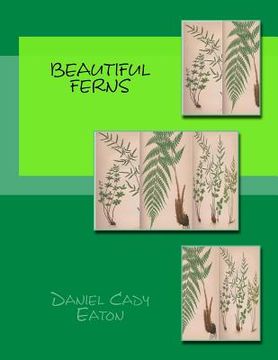 portada Beautiful Ferns (en Inglés)