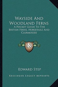 portada wayside and woodland ferns: a pocket guide to the british ferns, horsetails and clubmosses (in English)