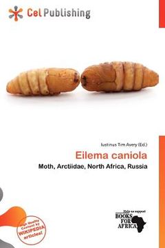 eilema caniola (en Inglés)