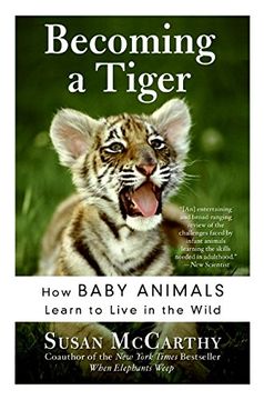 portada Becoming a Tiger: How Baby Animals Learn to Live in the Wild 