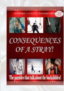 portada Consequences of a Stray! (en Inglés)
