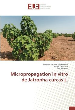 portada Micropropagation in vitro de Jatropha curcas L. (French Edition)