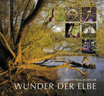 portada Wunder der Elbe: Biografie eines Flusses (in German)