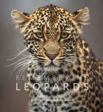 portada Remembering Leopards (en Inglés)