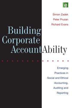 portada Building Corporate Accountability: Emerging Practice in Social and Ethical Accounting and Auditing