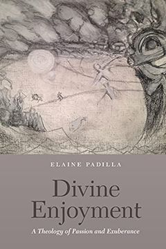 portada Divine Enjoyment: A Theology of Passion and Exuberance (en Inglés)