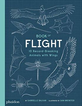 portada Book of Flight: 10 Record-Breaking Animals With Wings (Libri per Bambini) 
