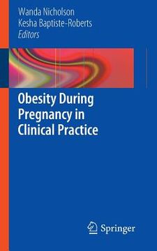 portada obesity during pregnancy in clinical practice (en Inglés)