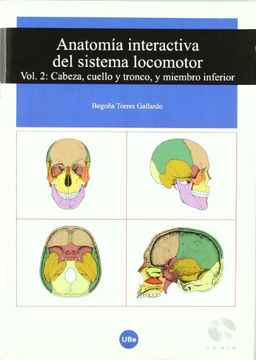 portada anatomía interactiva del sistema locomotor. volumen ii: cabeza, cuello y tronco, y miembro inferior (cd-rom + folleto)