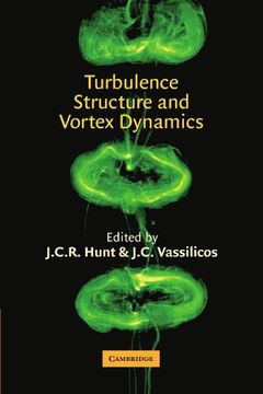 portada Turbulence Structure and Vortex Dynamics (en Inglés)