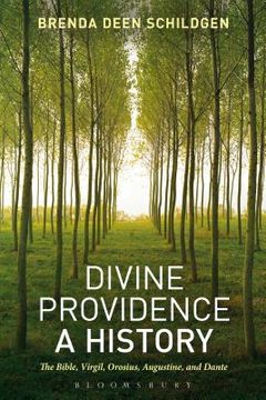 portada Divine Providence: A History: The Bible, Virgil, Orosius, Augustine, and Dante (en Inglés)