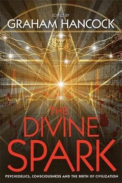 portada The Divine Spark: Psychedelics, Consciousness and the Birth of Civilization