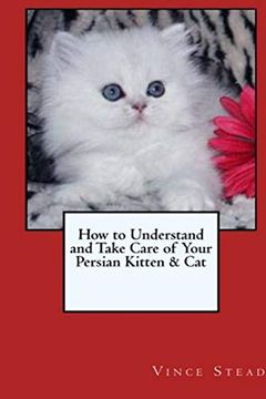 portada How to Understand and Take Care of Your Persian Kitten & cat