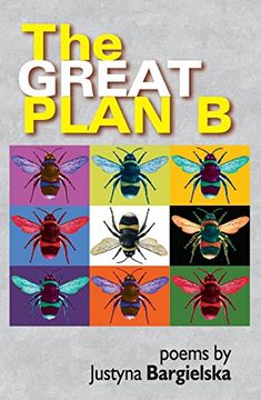 portada The Great Plan b (en Inglés)