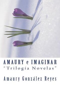 portada Amaury e Imaginar "Trilogía Novelas"