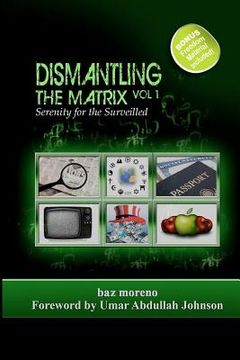 portada dismantling the matrix (in English)