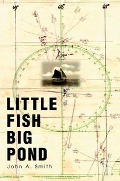 portada little fish big pond (en Inglés)