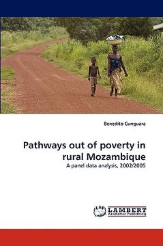 portada pathways out of poverty in rural mozambique (en Inglés)