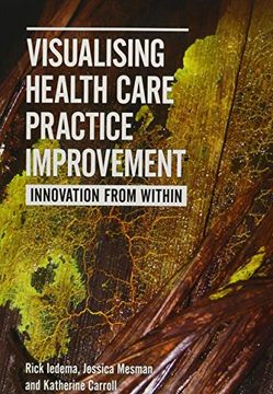 portada Visualising Health Care Practice Improvement: Innovation from Within (in English)